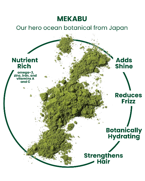 MASAMI Everything Shower Bundle